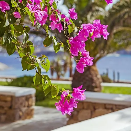 Sea View فندق